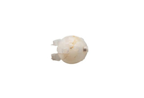 Vase d'expansion CITROEN C3 3 Photo n°1
