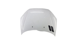 Capot PEUGEOT 206 Photo n°4