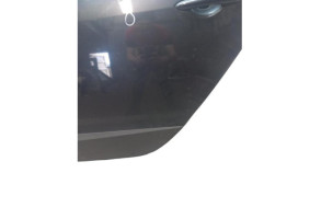 Porte arriere gauche RENAULT SCENIC 3 Photo n°9