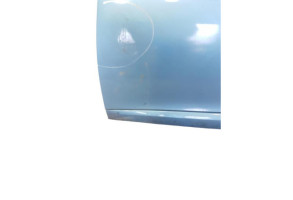 Porte avant gauche RENAULT MEGANE 3 Photo n°6
