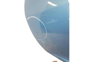 Porte avant gauche RENAULT MEGANE 3 Photo n°8
