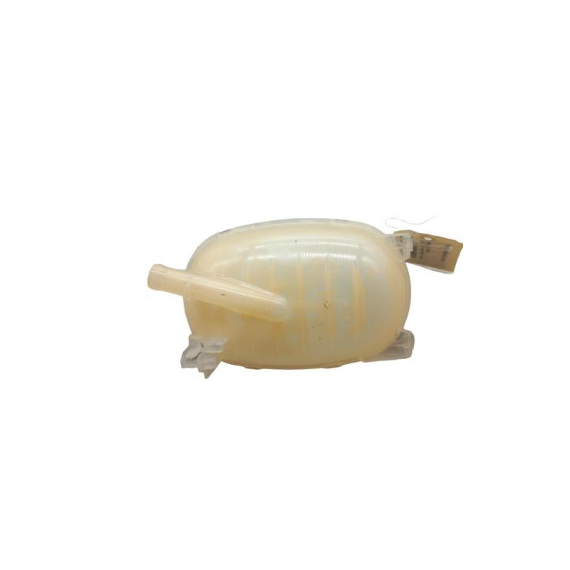 Vase d'expansion RENAULT CLIO 5 Photo n°1