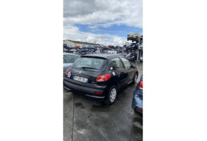 Porte arriere droit PEUGEOT 206+ Photo n°11
