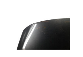 Capot PEUGEOT 3008 1 Photo n°1
