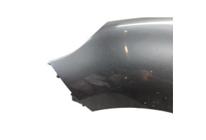 Aile avant gauche RENAULT SCENIC 3 Photo n°1