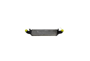 Echangeur air (Intercooler) MERCEDES CLASSE E 212 Photo n°3