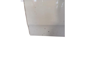 Porte arriere gauche FIAT PUNTO 3 Photo n°4