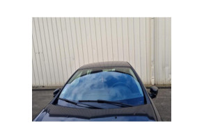 Porte arriere droit RENAULT CLIO 3 Photo n°11