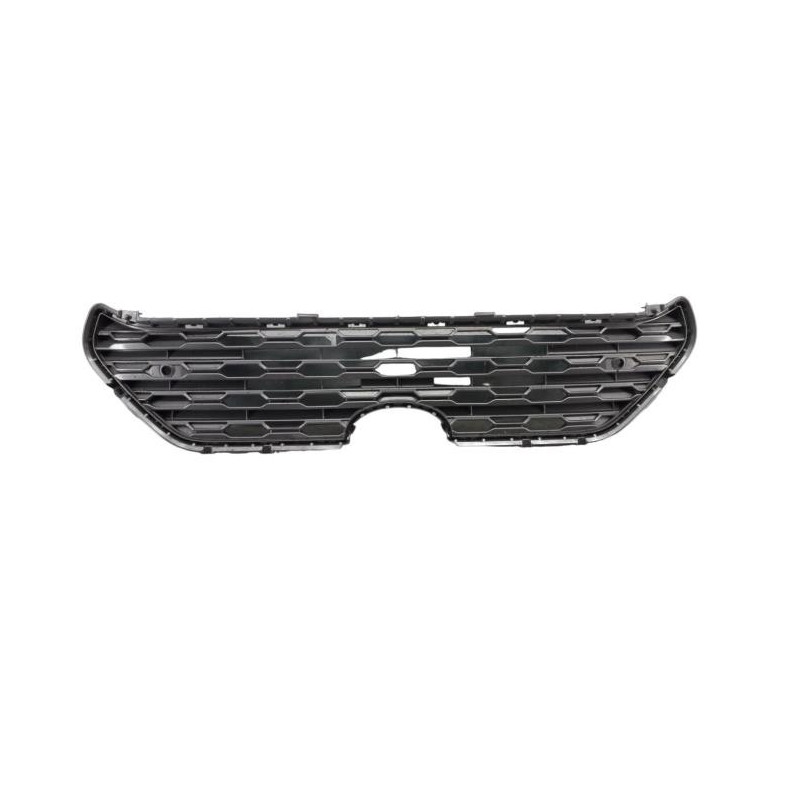 Grille de pare choc TOYOTA RAV4 5 Photo n°1