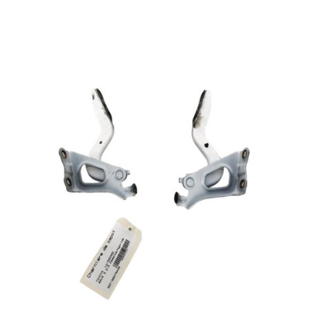 Charniere de capot TOYOTA RAV4 5