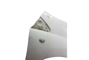 Aile avant droit PEUGEOT EXPERT 2 Photo n°4