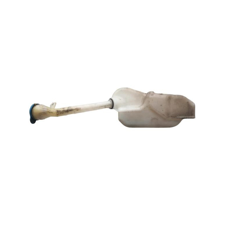 Vase de lave glace NISSAN QASHQAI 1 Photo n°1