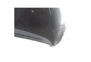 Capot PEUGEOT 1007 Photo n°4