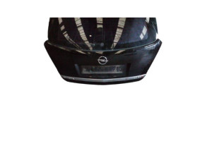 Malle/Hayon arriere OPEL ANTARA Photo n°6
