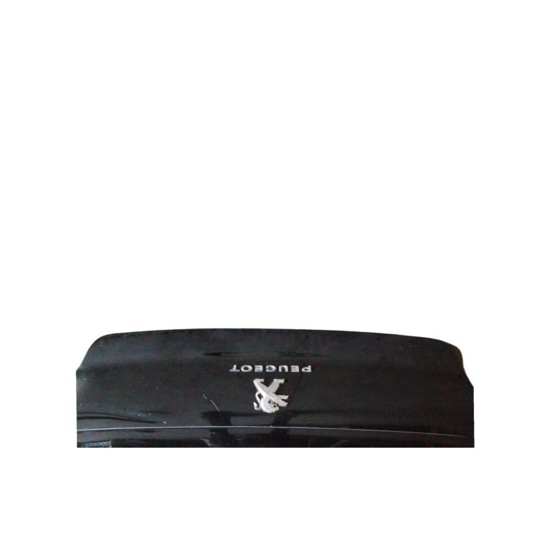 Malle/Hayon arriere PEUGEOT 508 1 Photo n°1