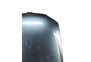 Capot PEUGEOT 406 Photo n°6
