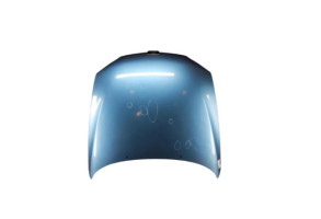 Capot PEUGEOT 406 Photo n°8