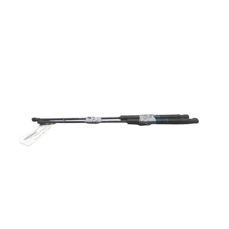 Verin de coffre CITROEN C4 1 Photo n°1