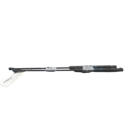 Verin de coffre CITROEN C4 1