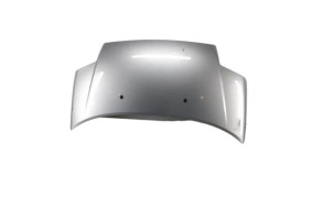Capot CITROEN C2 Photo n°1