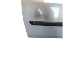 Porte avant gauche RENAULT SCENIC 2 Photo n°2