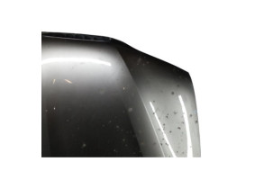 Capot BMW X5 E53 Photo n°6