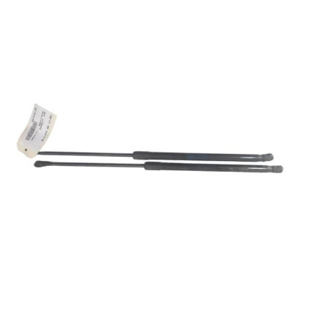 Verin de coffre SEAT IBIZA 4