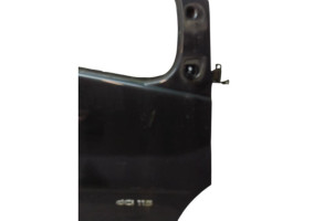Porte avant droit RENAULT TRAFIC 2 Photo n°1