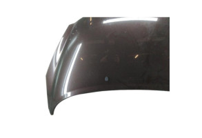 Capot PEUGEOT 207 Photo n°5
