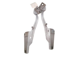 Charniere de capot RENAULT KANGOO 2 Photo n°2