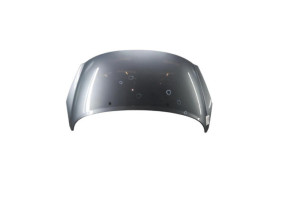 Capot PEUGEOT 207 Photo n°4