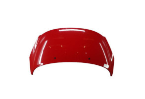 Capot PEUGEOT 207 Photo n°5