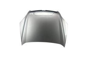 Capot CHEVROLET CAPTIVA Photo n°1