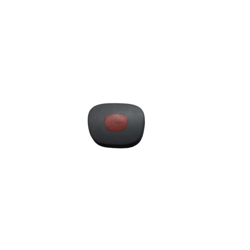 Bouton de warning RENAULT CLIO 2 Photo n°1