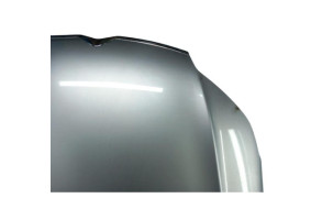 Capot CITROEN C5 2 Photo n°3