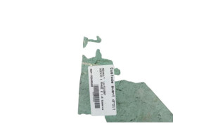 Custode avant droit RENAULT SCENIC 1 Photo n°1