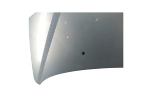 Capot RENAULT SCENIC 1 Photo n°1