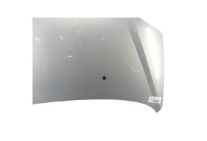 Capot RENAULT SCENIC 1 Photo n°2