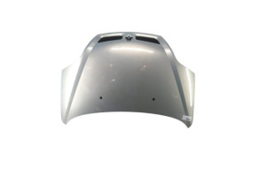 Capot RENAULT SCENIC 1 Photo n°5