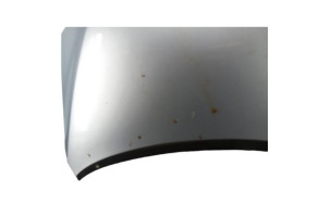Capot VOLKSWAGEN GOLF PLUS Photo n°1