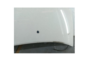 Capot CITROEN C2 Photo n°3