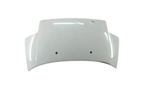 Capot CITROEN C2 Photo n°5