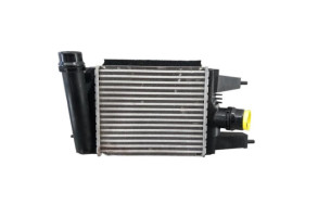 Echangeur air (Intercooler) NISSAN JUKE 1 Photo n°1