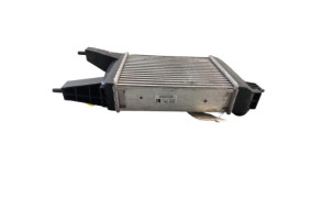 Echangeur air (Intercooler) NISSAN JUKE 1 Photo n°4