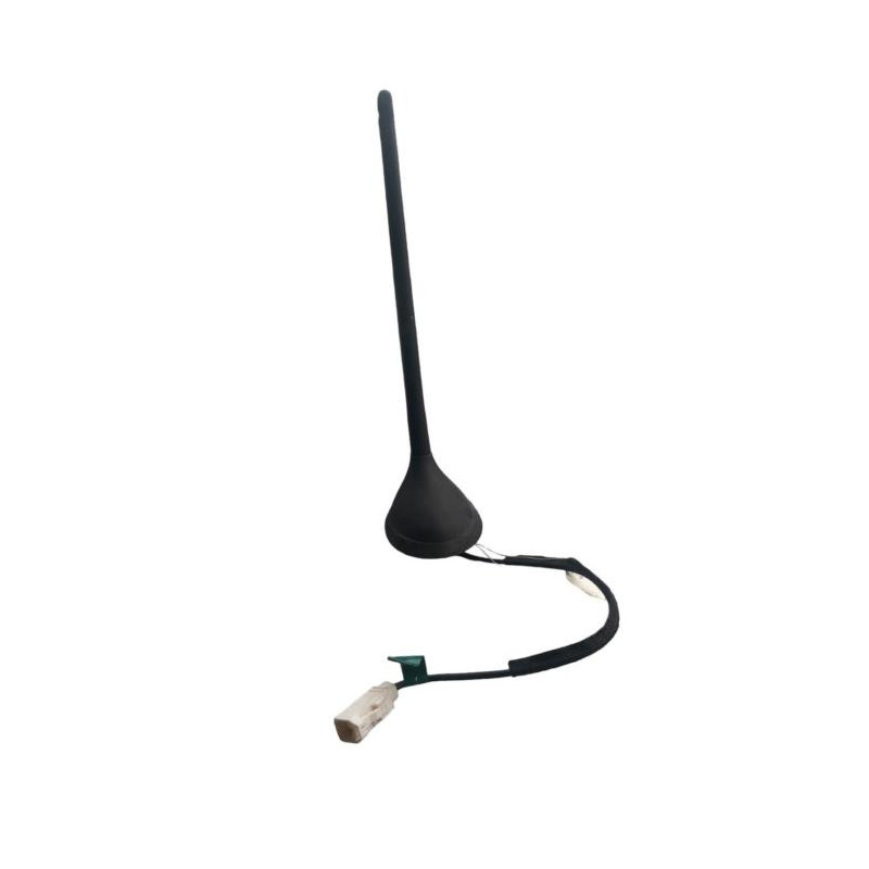 Antenne FIAT 500 2 Photo n°1