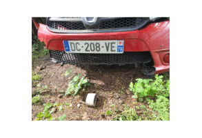 Vitre arriere droit DACIA LOGAN MCV 2 Photo n°9