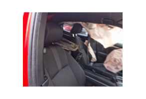 HONDA CIVIC 10 PHASE 1 1.6 DTEC - 16V TURBO Photo n°17