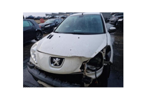 Boite de vitesses PEUGEOT 206+ Photo n°9