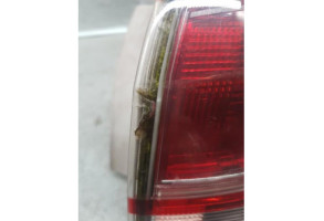 Feu arriere principal droit (feux) FORD B-MAX Photo n°1