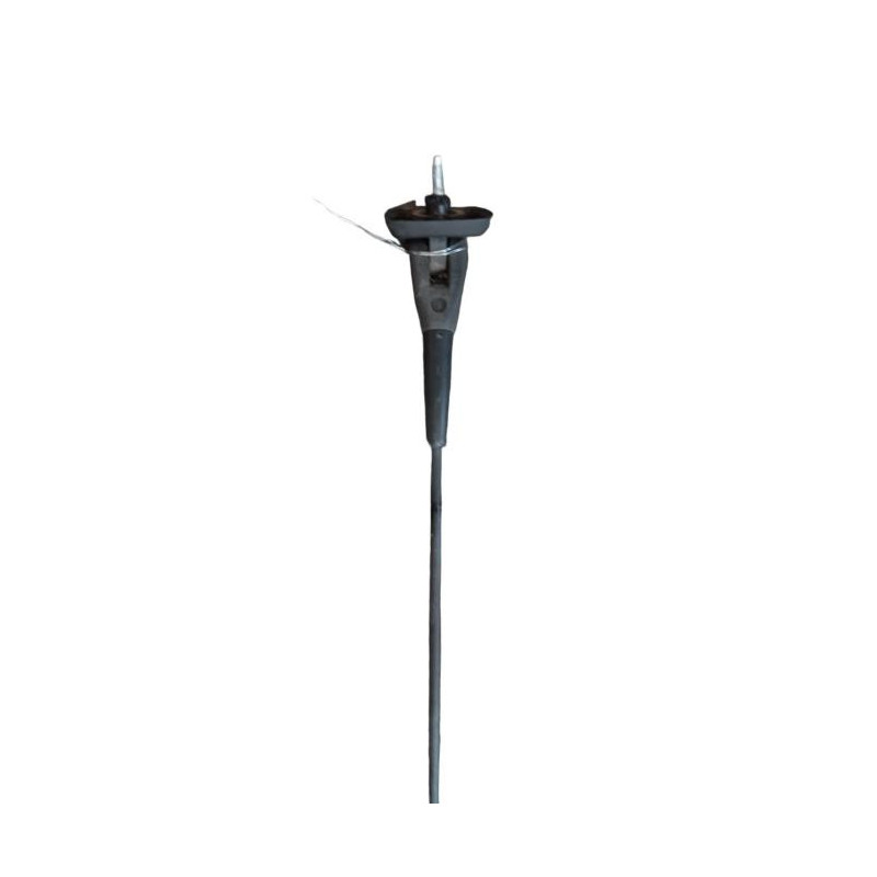 Antenne DACIA DUSTER 1 Photo n°1